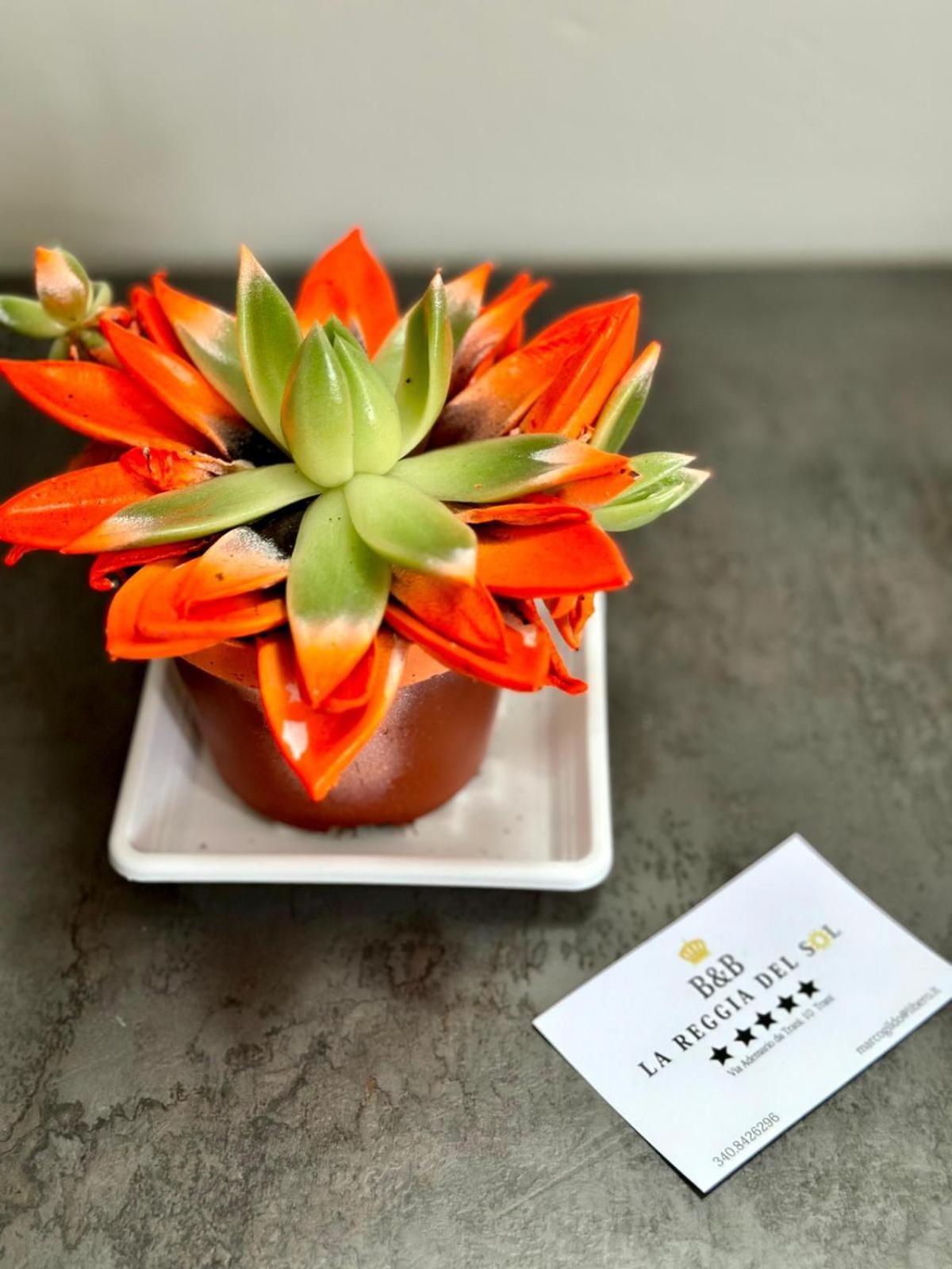 B&B La Reggia Del Sol ตรานิ ภายนอก รูปภาพ